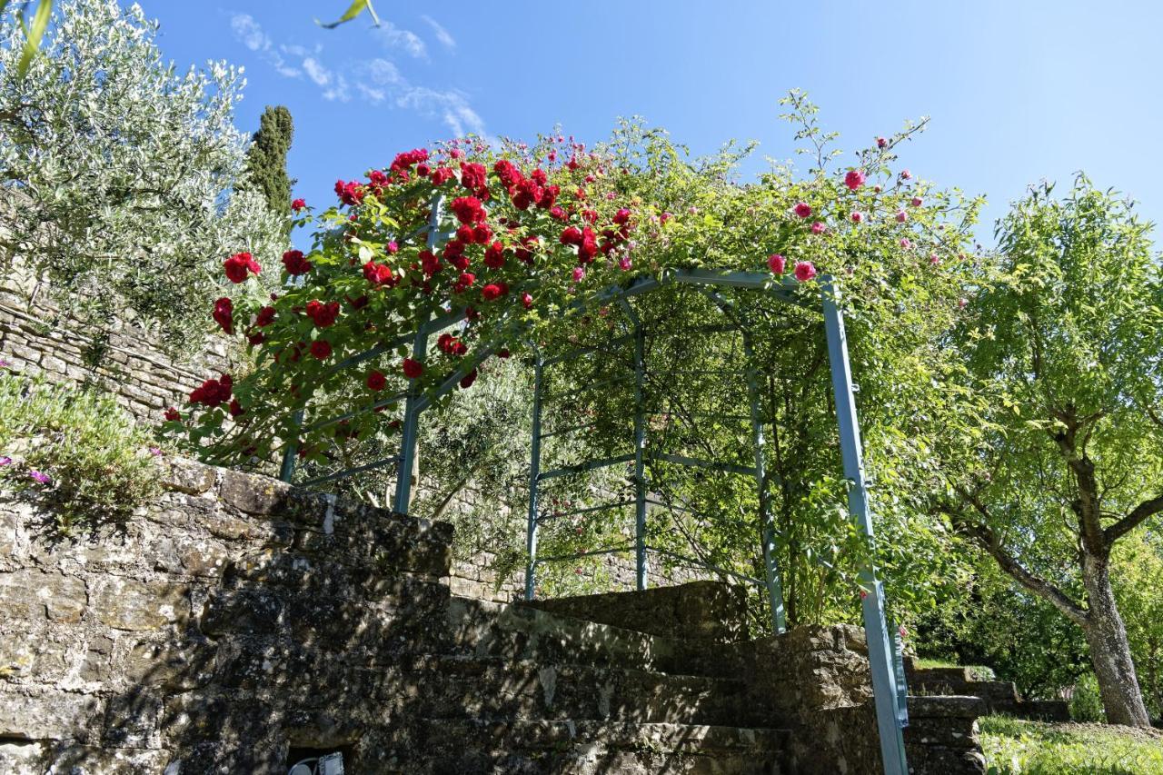 Apartments Smile By Rent Istria グロジュニャン 部屋 写真